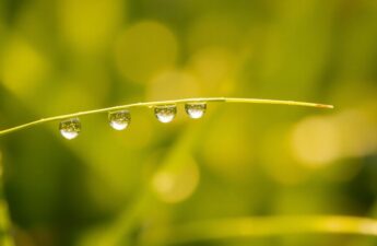 hitta skönhet i enkelhet